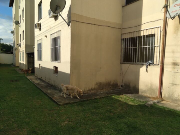Vendo apartamento em Campo Grande – RJ