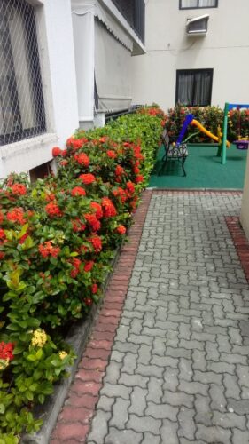 Flades Plantas e Jardins