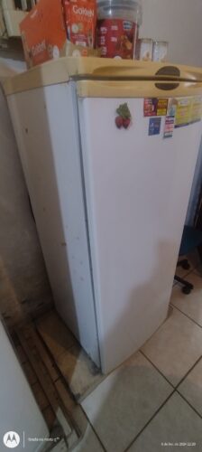 GELADEIRA ELETROLUX 250 LTS