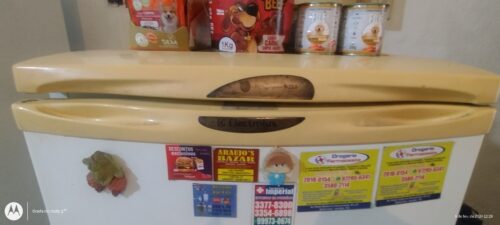 GELADEIRA ELETROLUX 250 LTS