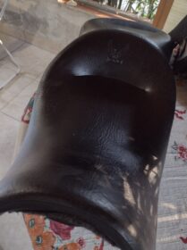 IMG_20240424_073543357_HDR-1