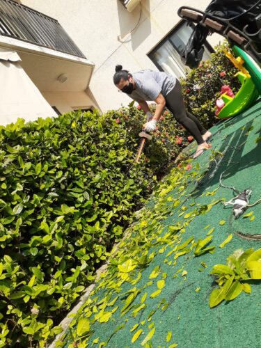 Flades Plantas e Jardins