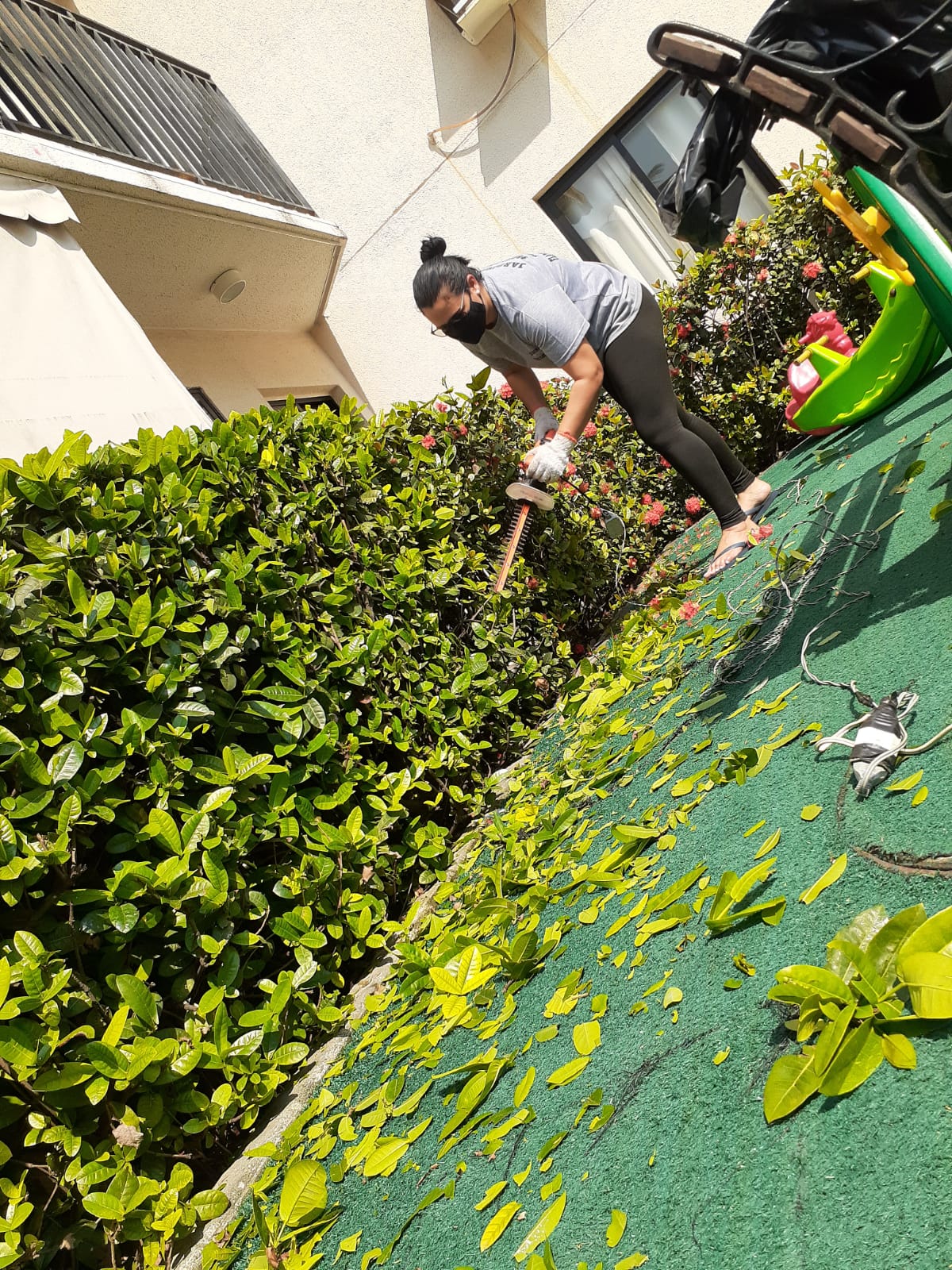 Flades Plantas e Jardins