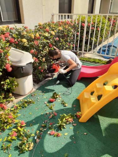 Flades Plantas e Jardins