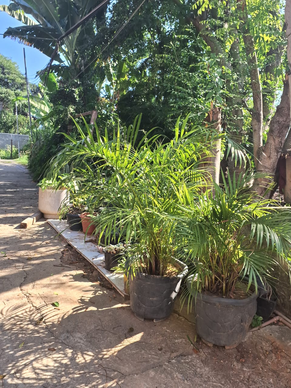 Casa em construção