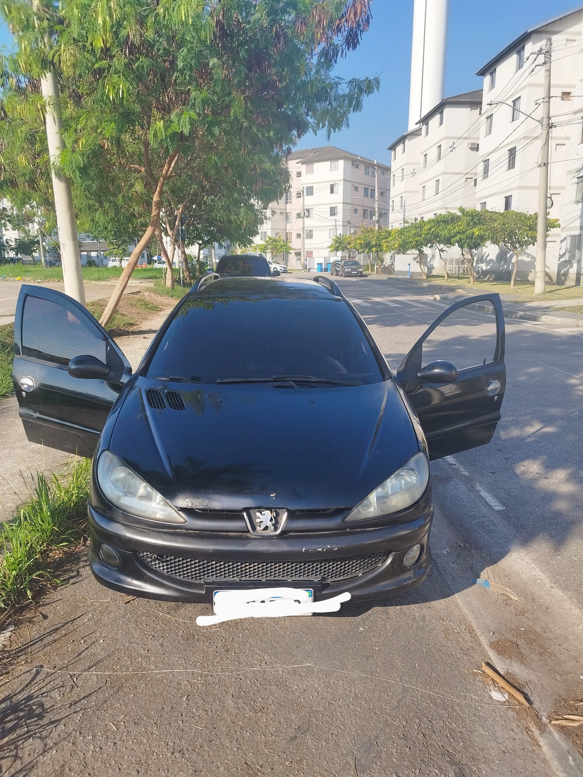 Pegeout 206 Sw completo