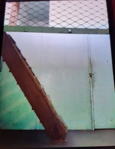 Alugo loja em Cascadura