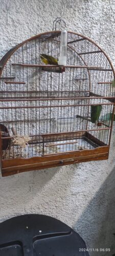 Viveiros de pássaros