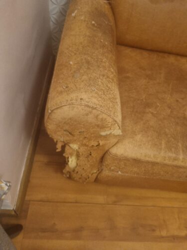 SOFÁ 3 LUGARES- LINDO PRECISA NOVO FORRO