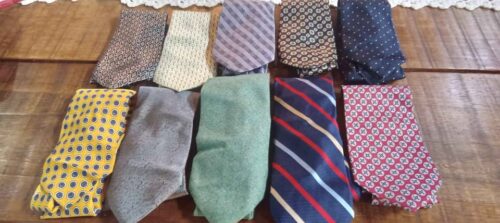 10 gravatas cores sortidas