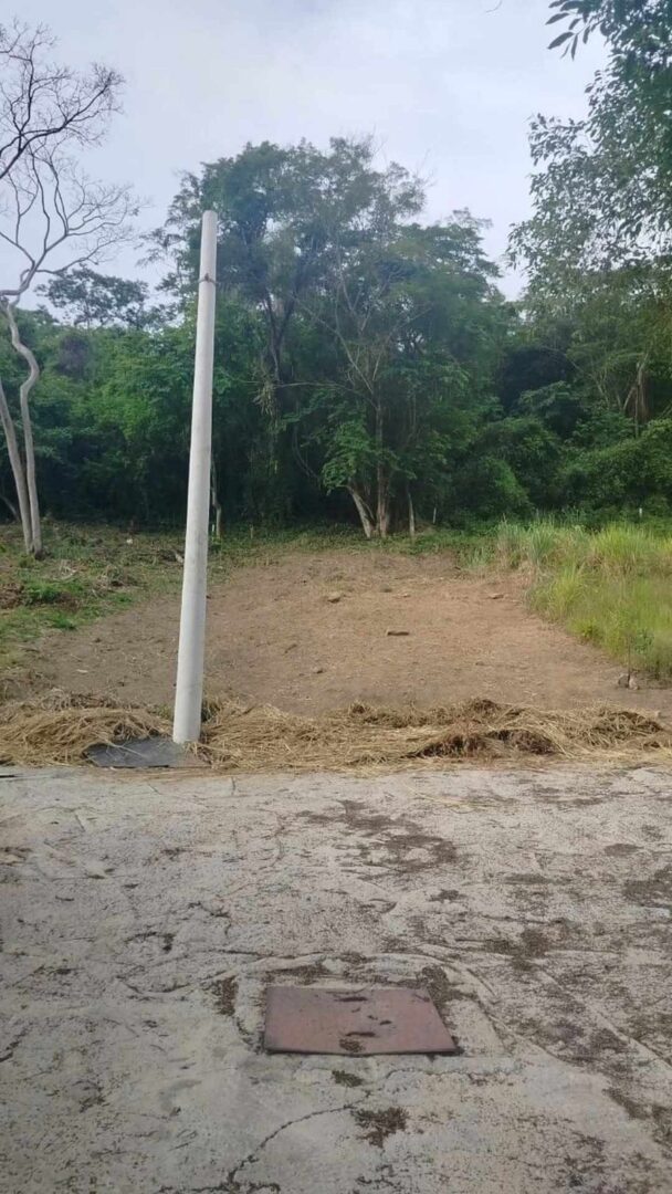 Terreno em área verde Guaratiba