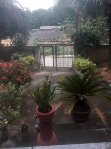 Vendo uma mini chácara