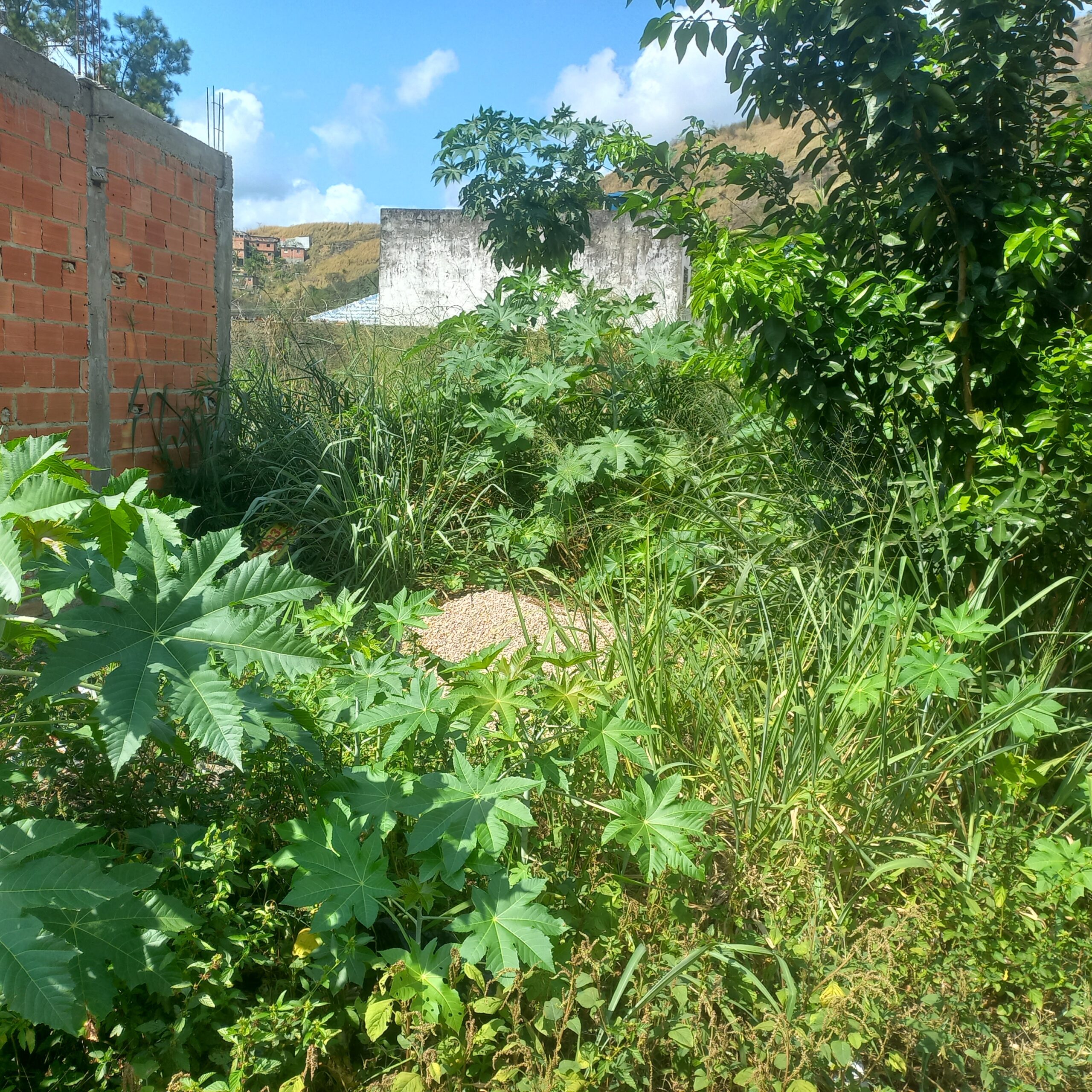 Terreno plano 5×6 Cavalcante oportunidad