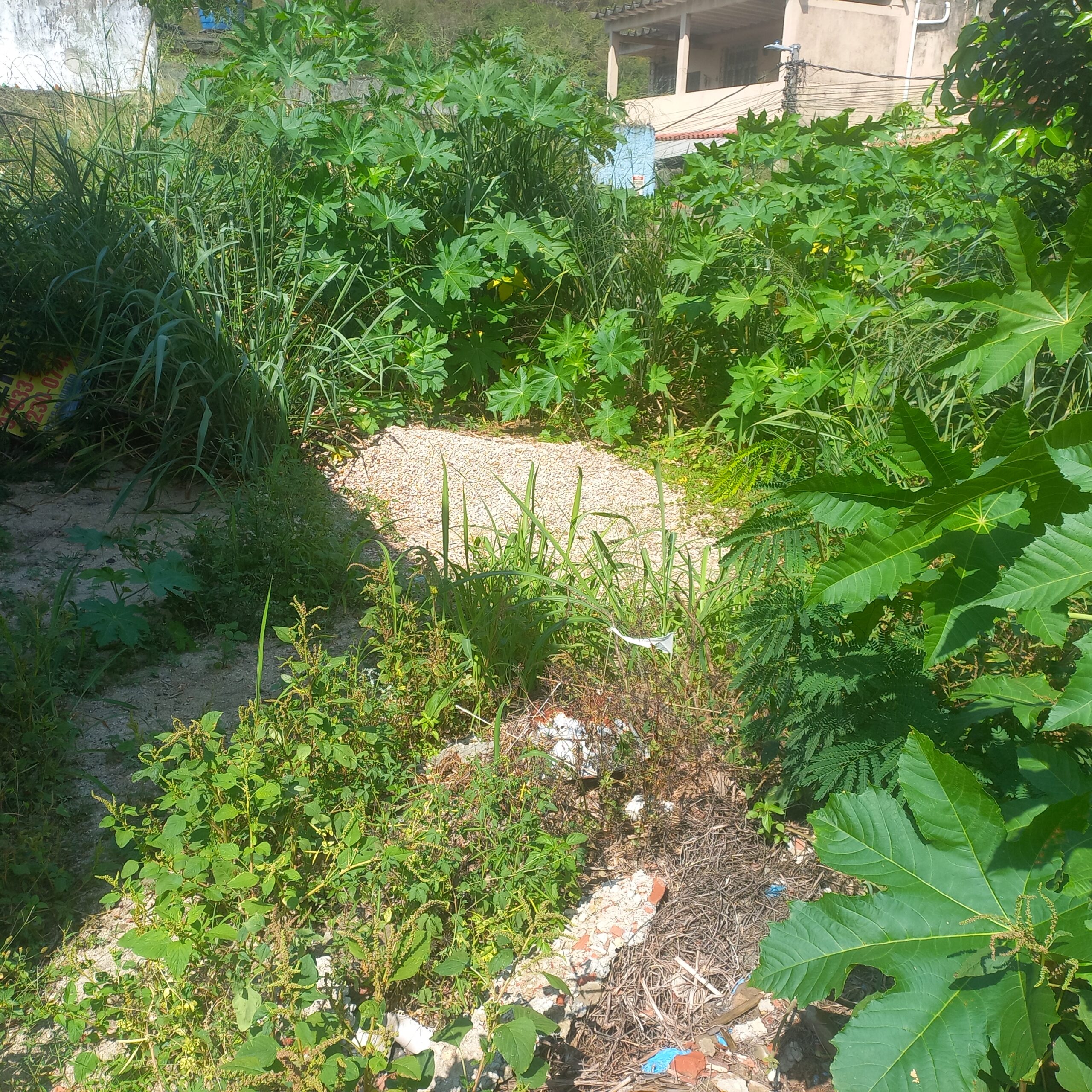 Terreno plano 5×6 Cavalcante oportunidad