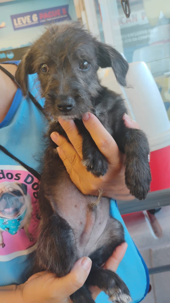 Doação responsável