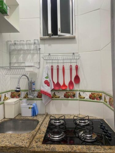 Alugo conjugado Barata Ribeiro