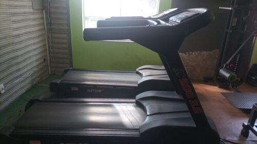 Esteira profissional