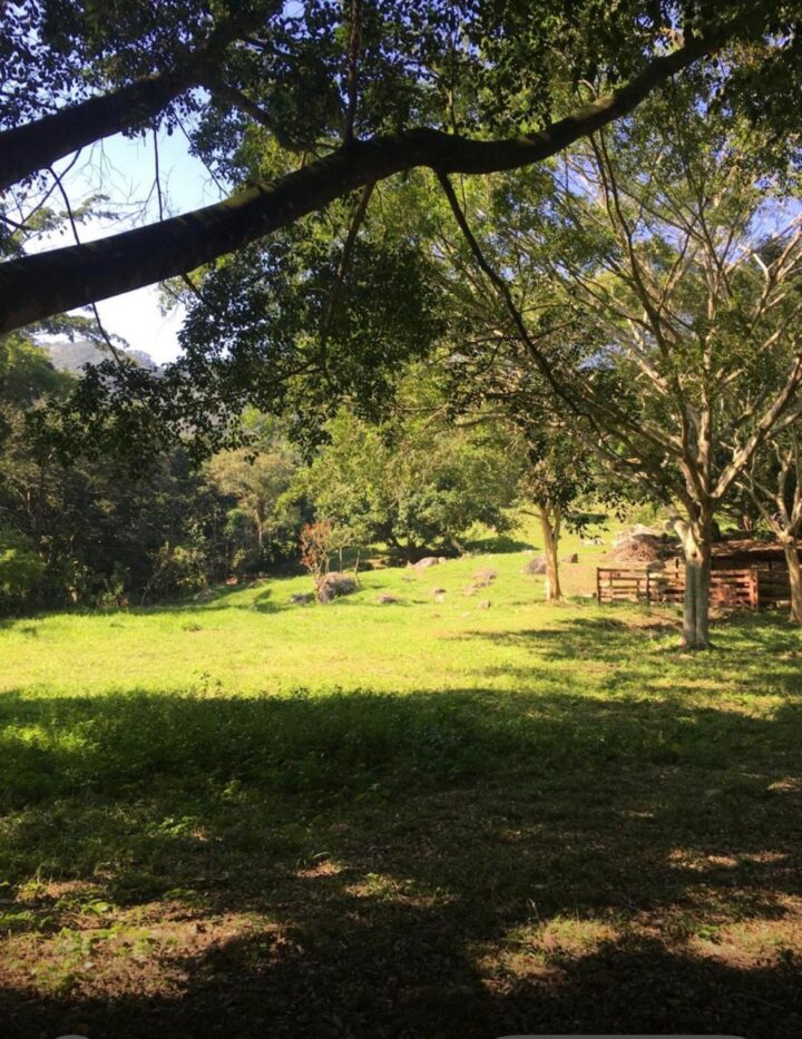 Sítio 10.000m² vendo vista Mata Atlântica