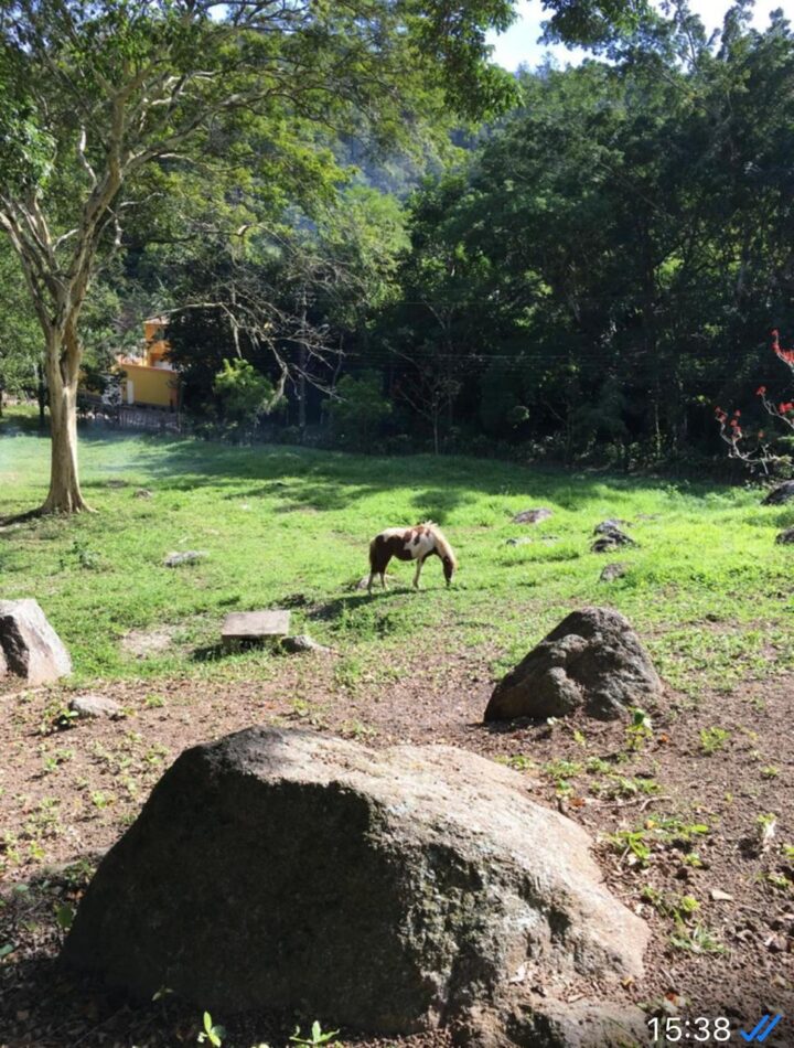 Sítio 10.000m² vendo vista Mata Atlântica