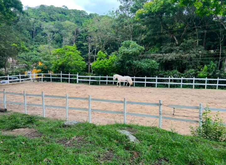 Sítio 10.000m² vendo vista Mata Atlântica