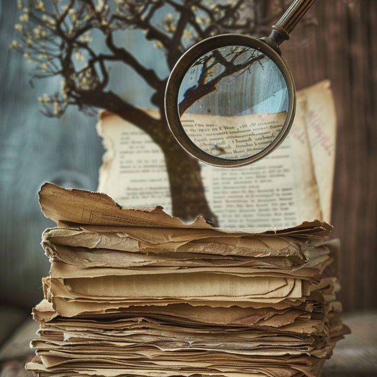 Pesquisa genealógica e cidadania