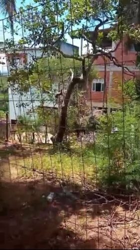 Terreno Praia de Guarapari