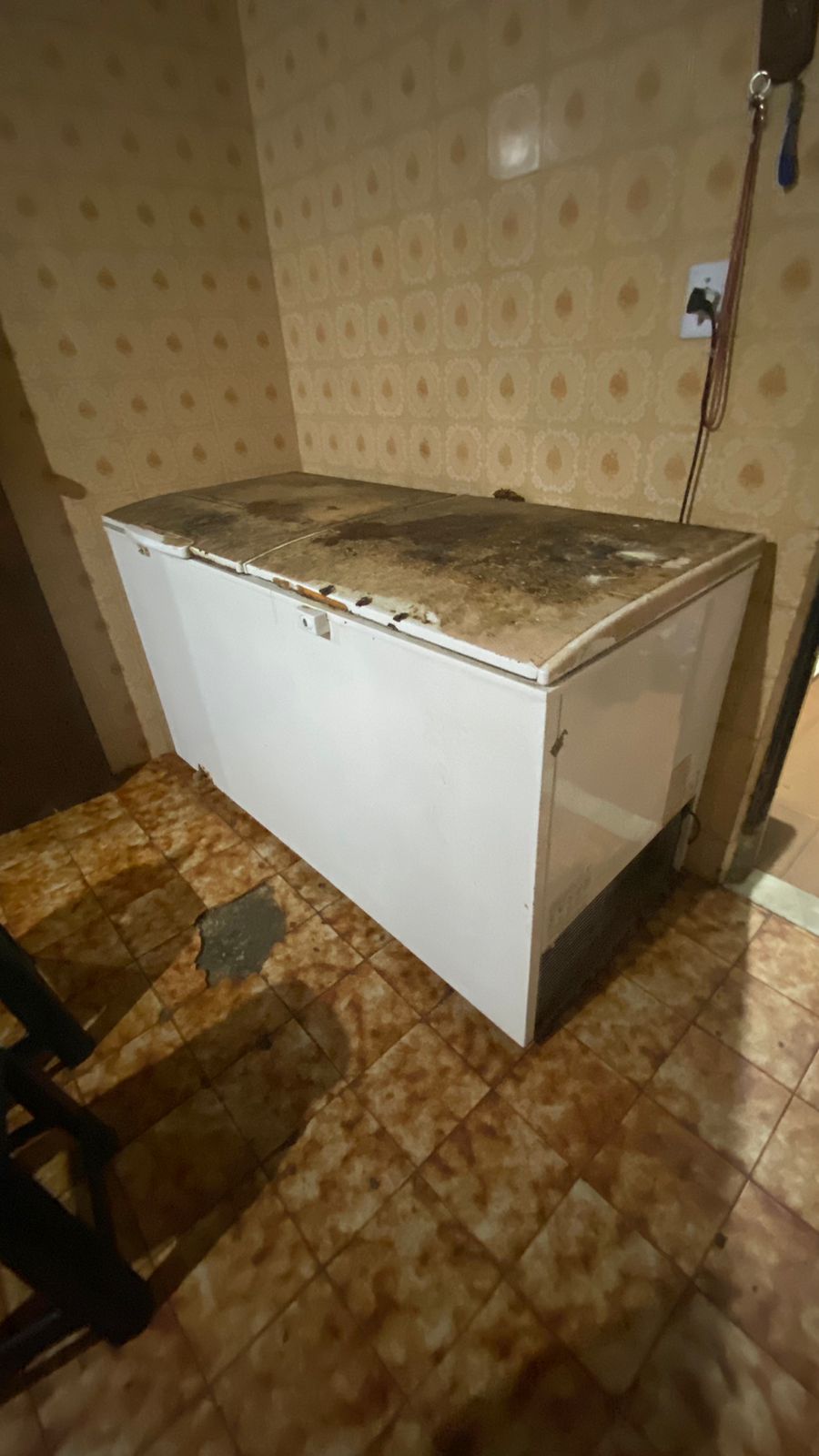 Freezer Eletrolux 500 lts horizontal 2 p