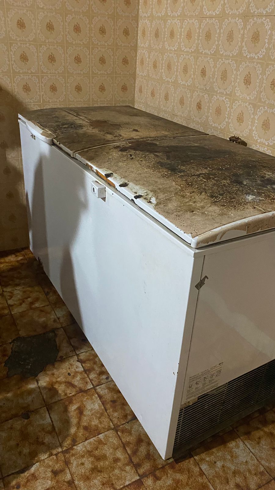 Freezer Eletrolux 500 lts horizontal 2 p