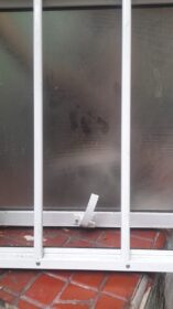 WhatsApp-Image-2025-08-05-at-14.18.46-2