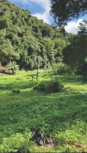 Propriedade rural vendo