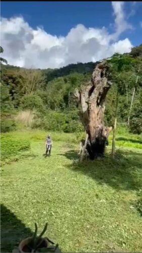 Propriedade rural vendo
