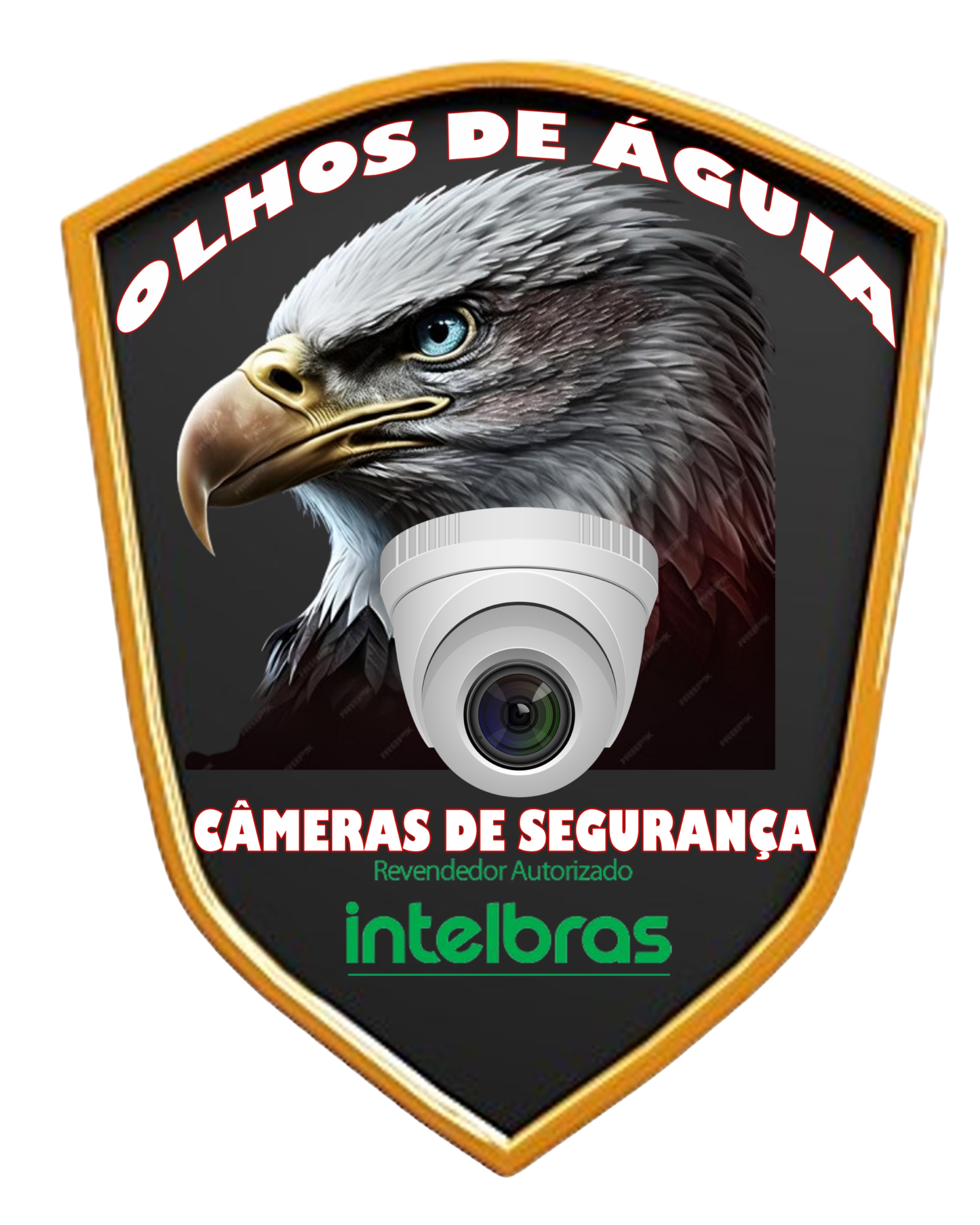 Câmeras de segurança Intelbras