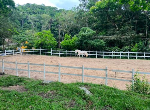 Sítio 10.000m² vendo