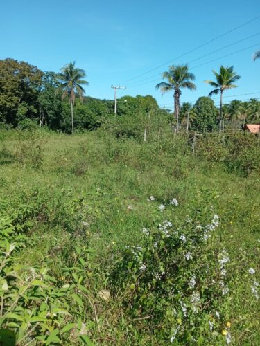 SÍTIO 7.8 HECTARES  ITABORAÍ VENDO