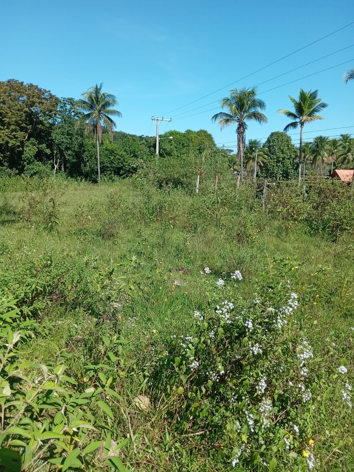 SÍTIO 7.8 HECTARES  ITABORAÍ VENDO