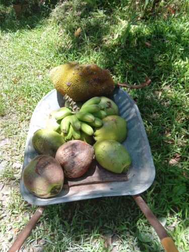 SÍTIO 7.8 HECTARES  ITABORAÍ VENDO