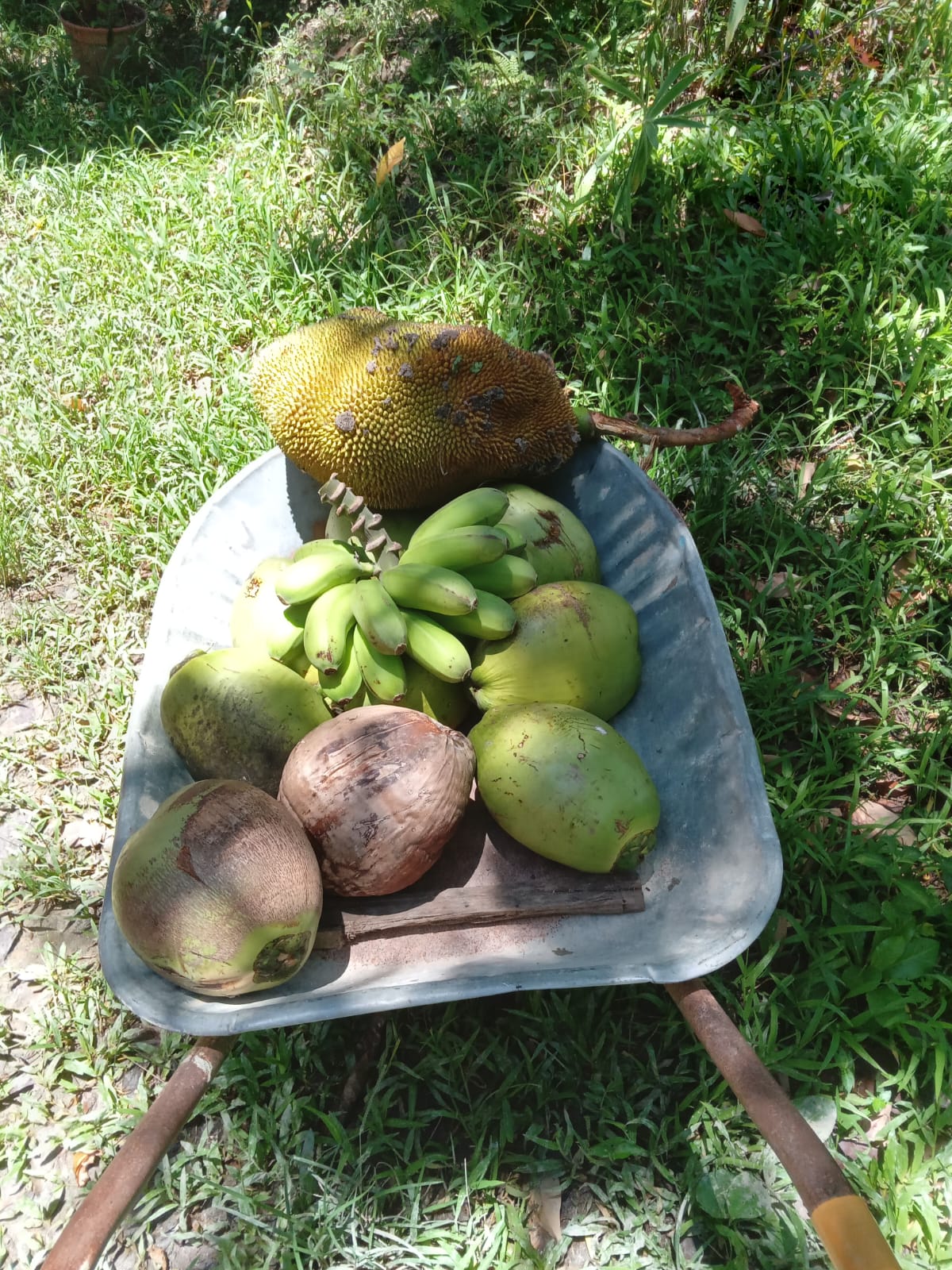 SÍTIO 7.8 HECTARES  ITABORAÍ VENDO