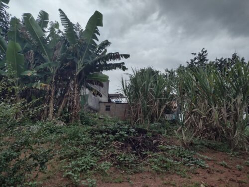 EXCELENTE CASA! ÓTIMO PREÇO!