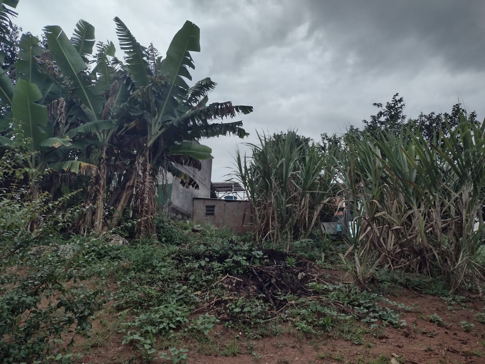 EXCELENTE CASA! ÓTIMO PREÇO!