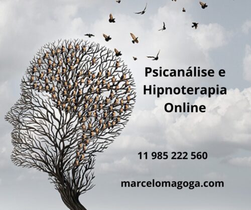 Psicanálise e Hipnoterapia Online