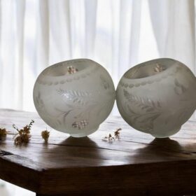 IMG-20241007-WA0006-1